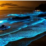 থাইল্যান্ডে রাত হলেই সমুদ্রপাড়ে জ্বলে ওঠে রহস্যময় আলো!