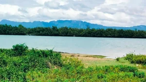 নাফ নদী থেকে আবারও ৭ জেলেকে ধরে নিয়ে গেল আরাকান আর্মি