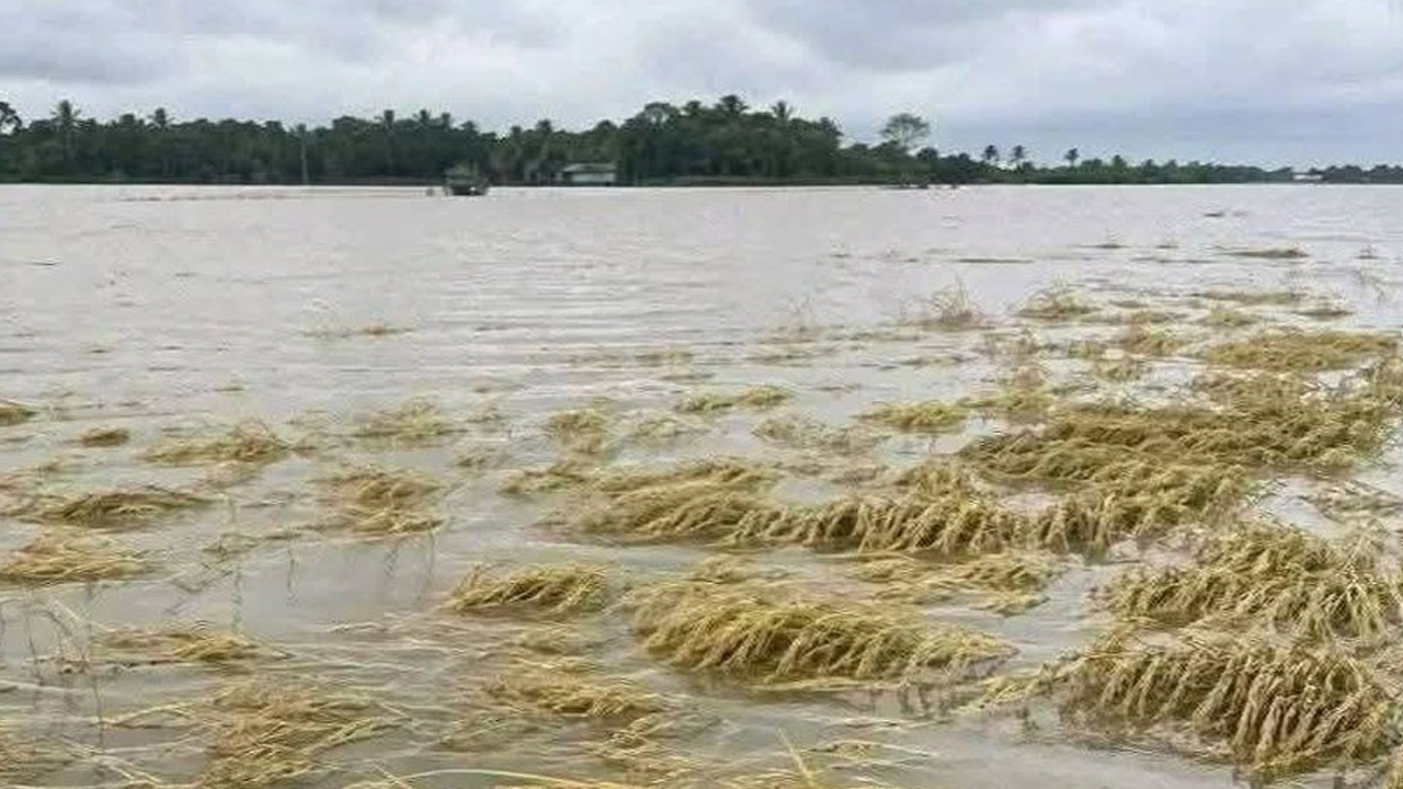 ৭ নদীর পানি বিপৎসীমার ওপরে, উত্তর-পূর্বে বন্যার শঙ্কা