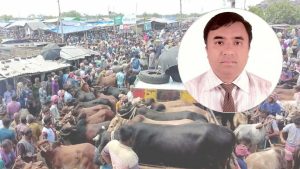 কোরবানির হাটে অ্যানথ্রাক্স-খুরা রোগের ঝুঁকি, যা জানাচ্ছেন বাকৃবি অধ্যাপক