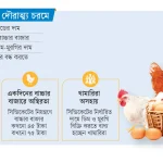 নজরদারির অভাবে বিপর্যস্ত খামারি: পোলট্রি খাত