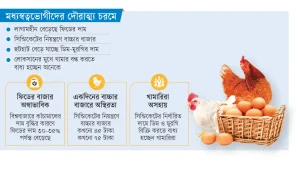 নজরদারির অভাবে বিপর্যস্ত খামারি: পোলট্রি খাত