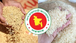 হাওর অঞ্চলে ধান-চাল সংগ্রহ শুরু রোববার