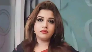 পুশইন ঠেকাতে ভারতকে ১২-১৩টি চিঠি দিয়েছে সরকার : পররাষ্ট্র প্রতিমন্ত্রী